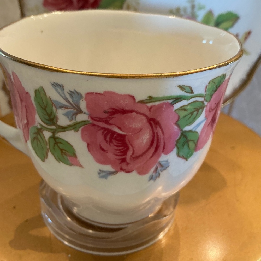 Queen Anne Lady Alexander Rose Bone China tea cup